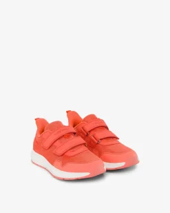 Viking Sneakers><noscript><img width=